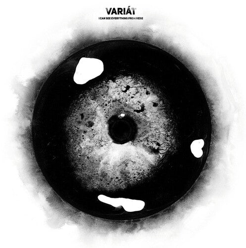 Variat: I Can See Everything From Here \ LP