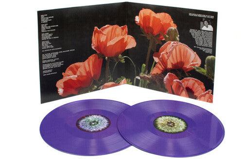 The Bevis Frond- Focus On Nature - VINYL