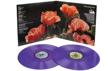 The Bevis Frond- Focus On Nature - VINYL