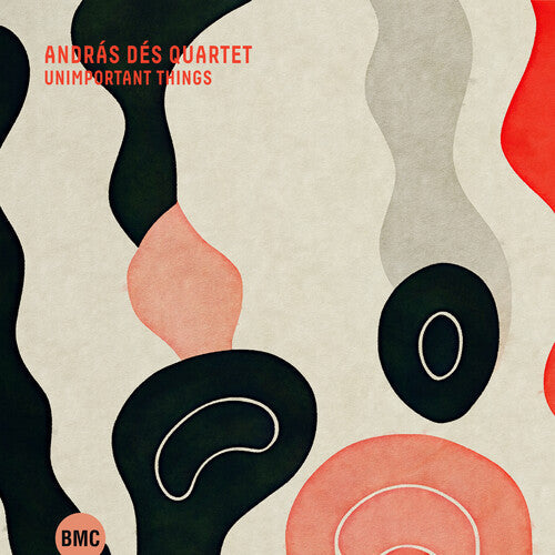 Andras Des: Unimportant Things - CD