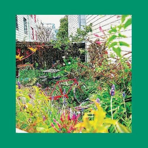 Unwishing Well - VINYL