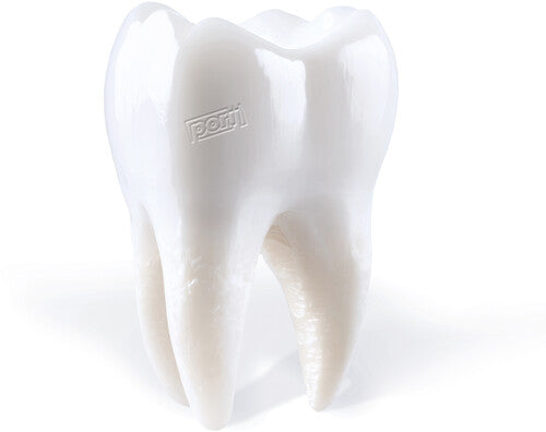 Porij: Teething \ LP