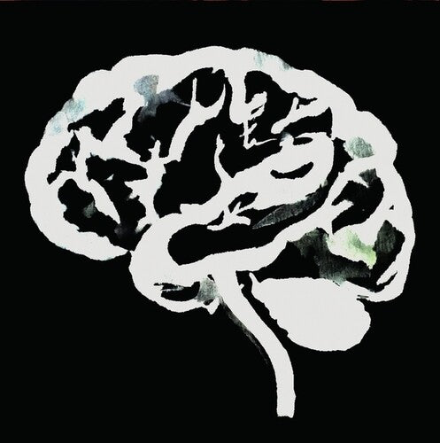 Ruins: Brain Flakes (The Lost Combo Tapes) \ LP