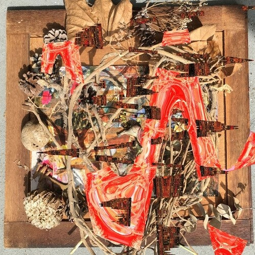 Merzbow: Tsubute Mosaic \ LP