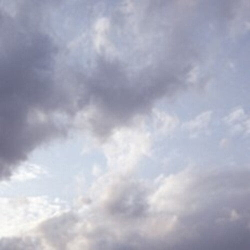 Celer: It Would Be Giving Up  \ CD
