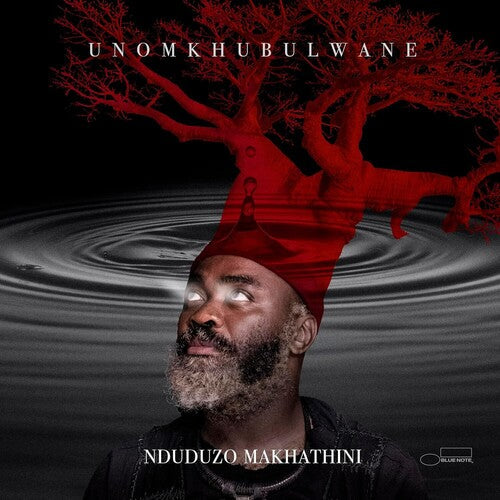 Nduduzo Makhathini: uNomkhubulwane - VINYL