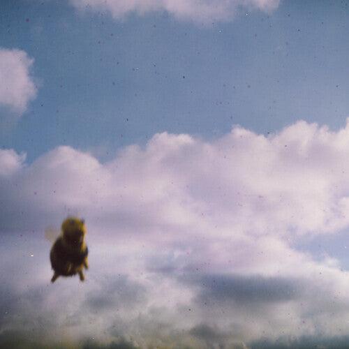Pond- Stung! (Indie Exclusive Vinyl) - VINYL