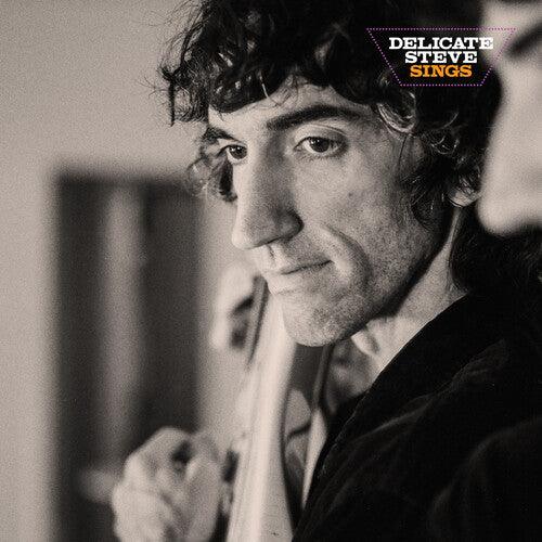 Delicate Steve- Delicate Steve Sings - VINYL