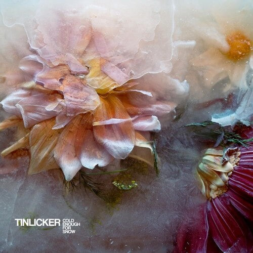 Tinlicker: Cold Enough For Snow  \ CD