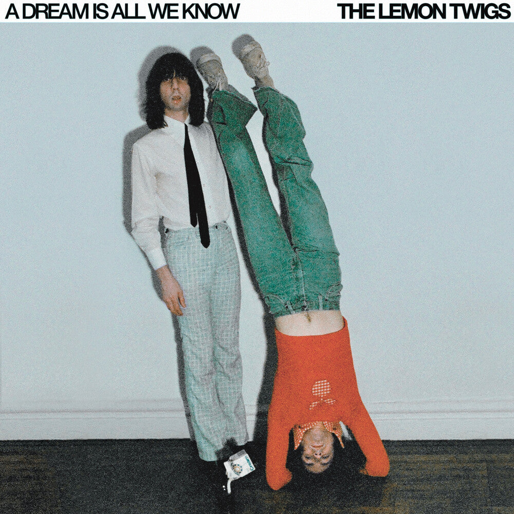 Lemon Twigs- Dream Is All We Know - VINYL