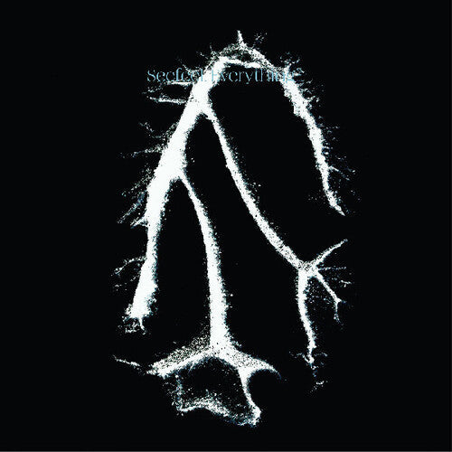 Seefeel: Everything Squared  \ CD
