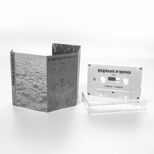 Paysage D'Hiver: Schnee - CASSETTES