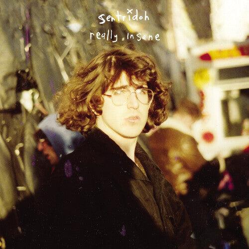 Sentridoh- Really Insane : A Lou Barlow Compendium - VINYL