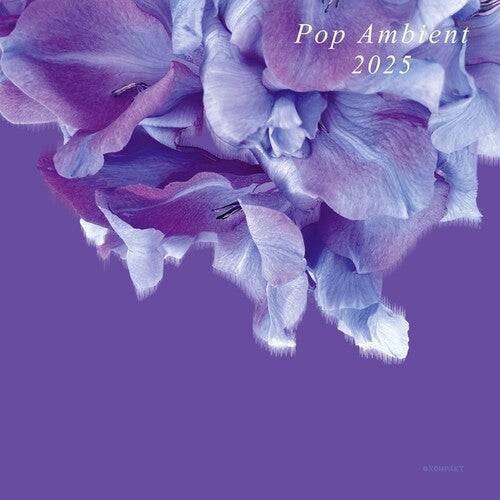 Various Artists: Pop Ambient 2025 \ LP