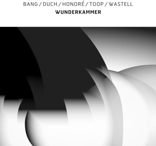 Bang / Duch / Honoré / Toop / Wastell: Wunderkammer \ LP