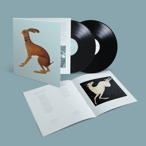 Vashti Bunyan- Lookaftering - Expanded - VINYL