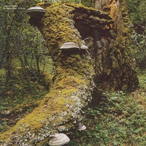 Jan Jelinek- Kosmischer Pitch - VINYL