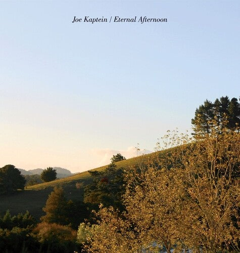 Joe Kaptein- Eternal Afternoons - VINYL
