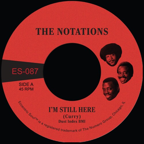 Notations: I'm Still Here B/W What More Can I Say - White - 7-INCH SINGLE