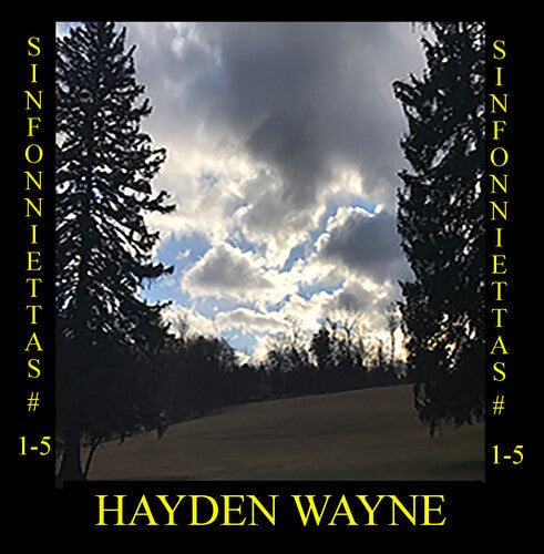 Hayden Wayne: Sinfoniettas # 1-5  \ CD
