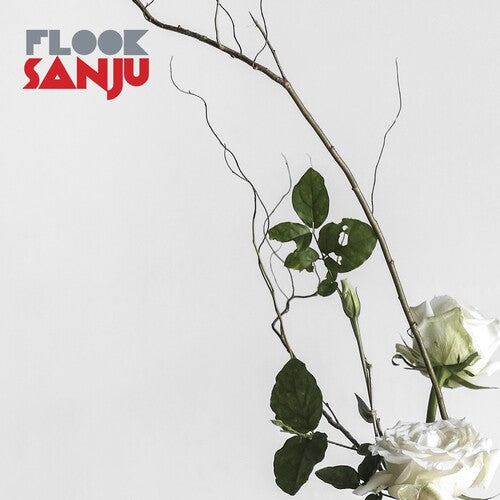 Flook- Sanju - VINYL