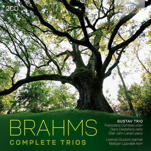 Simone Vallerotonda: Brahms: Complete Trios  \ CD