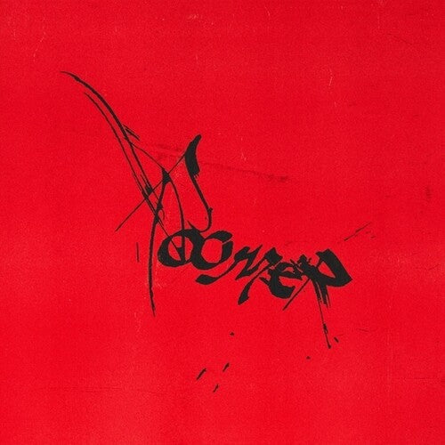 Roomer: Leaving It All To Chance \ LP