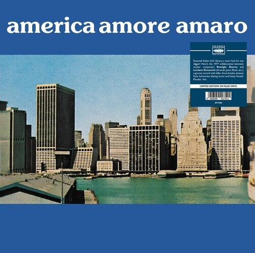 Du Cros, Remigio / Simoncini, Luciano: America Amore Amaro \ LP