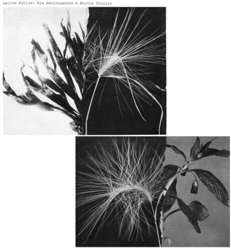 Andrew Pekler- New Environments And Rhythm Studies - VINYL