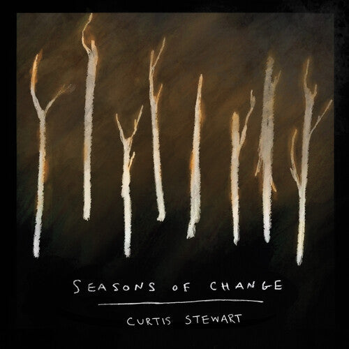 Curtis J Stewart: Seasons Of Change  \ CD