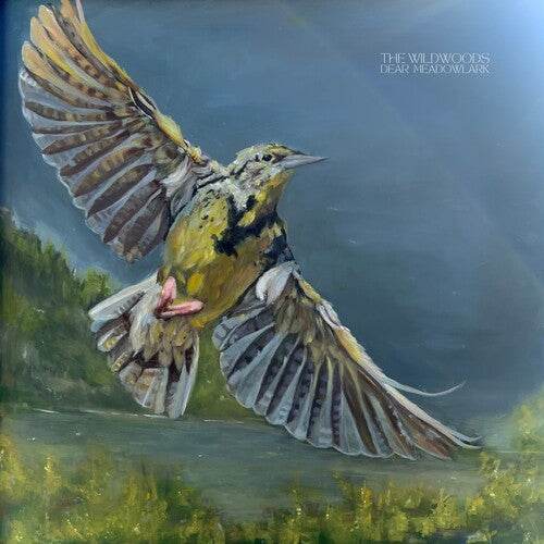The Wildwoods: Dear Meadowlark \ LP