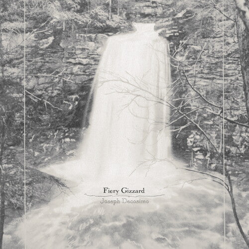Joseph Decosimo: Fiery Gizzard \ LP