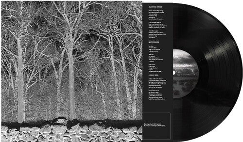 Pile- Sunshine and Balance Beams - VINYL