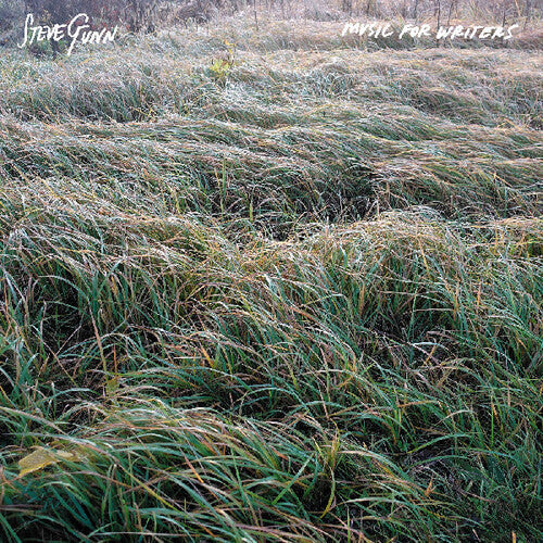 Steve Gunn- Music For Writers - VINYL