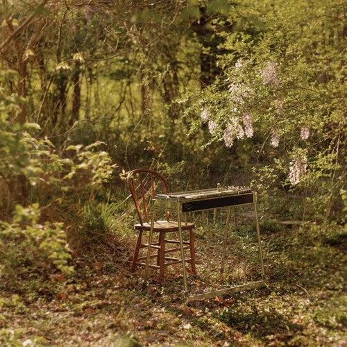 Luke Schneider: For Dancing In Quiet Light \ LP