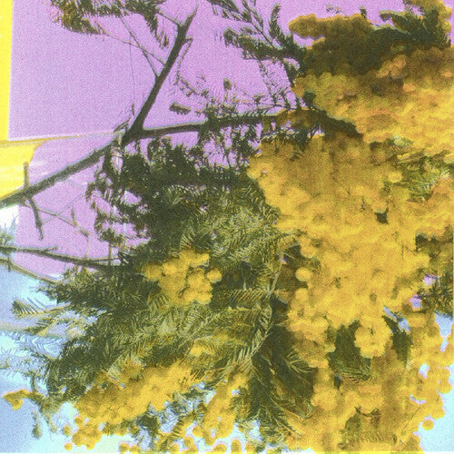 Four Tet- Into Dust (Still Falling) (Indie Exclusive Vinyl) - VINYL