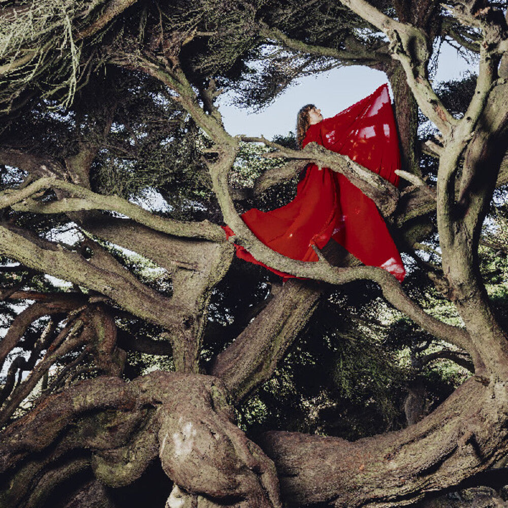 Hannah Frances- Nested In Tangles [Colored Vinyl] (Red) - VINYL
