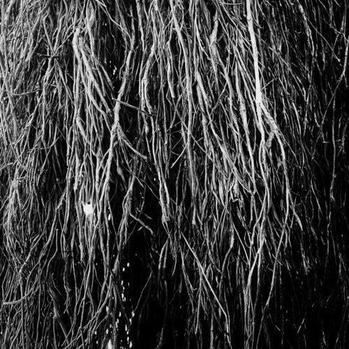Eraldo Bernocchi: Nocturnal Rainforest \ LP