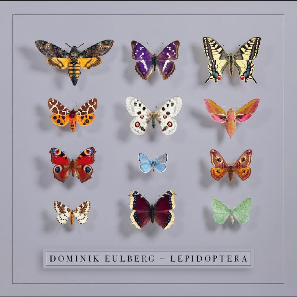 Dominik Eulberg- Lepidoptera (Uk) - VINYL