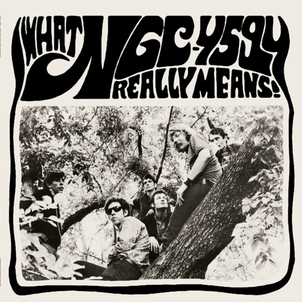 Ngc-4594- What Ngc-4594 Really Means - VINYL