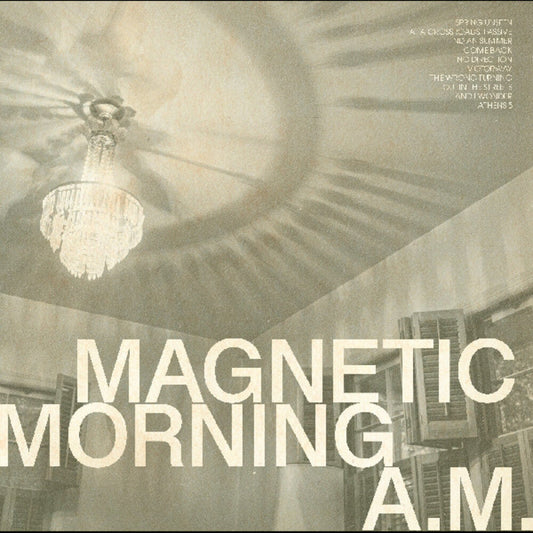 A.M. - VINYL
