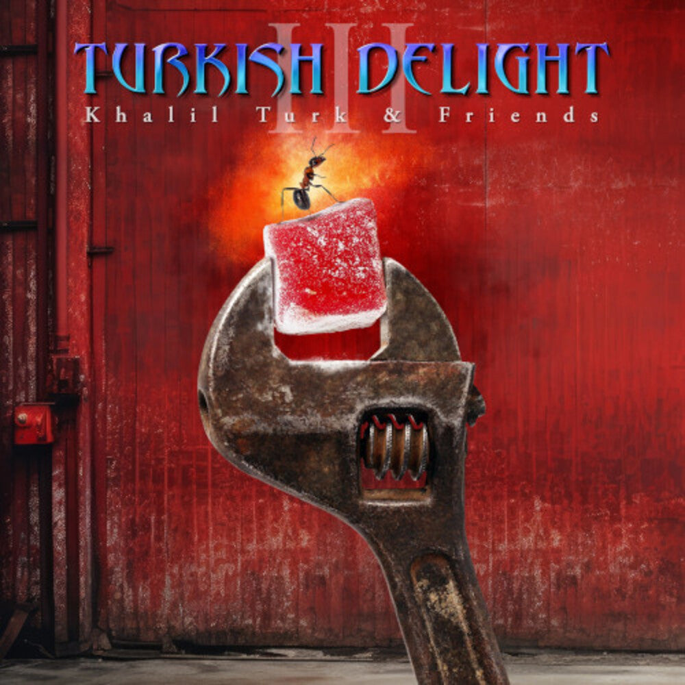 Turkish Delight Volume Three / Various- Turkish Delight Volume Three / Various - VINYL