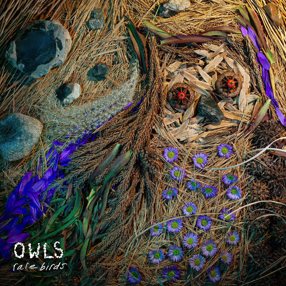 Owls- Rare Birds (Blk) (Uk) - VINYL