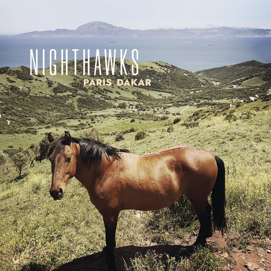 Nighthawks- Paris Dakar - VINYL