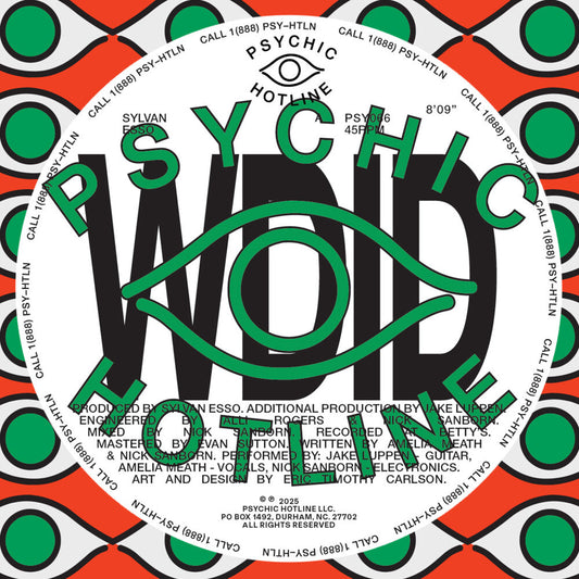 Sylvan Esso- WDID b/w KEEP ON [12" Single] - VINYL