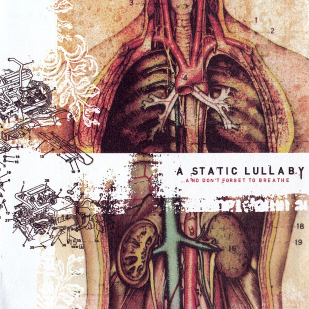 Static Lullalby- & Don't Forget To Breathe [Reissue] - VINYL