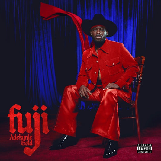 Adekunle Gold- Fuji - VINYL
