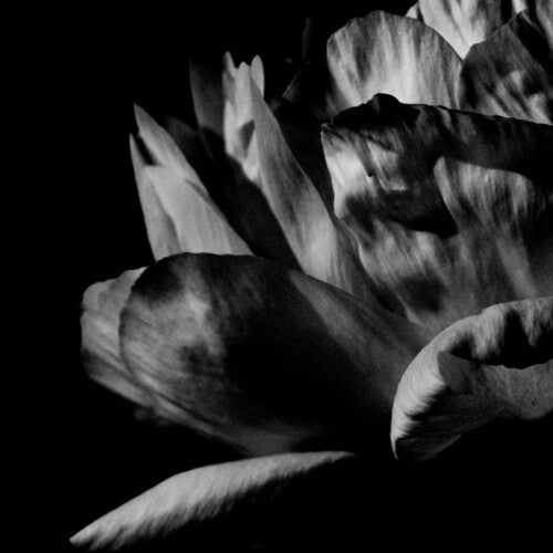 Louise Roam: La Ou Passe La Nuit  \ CD