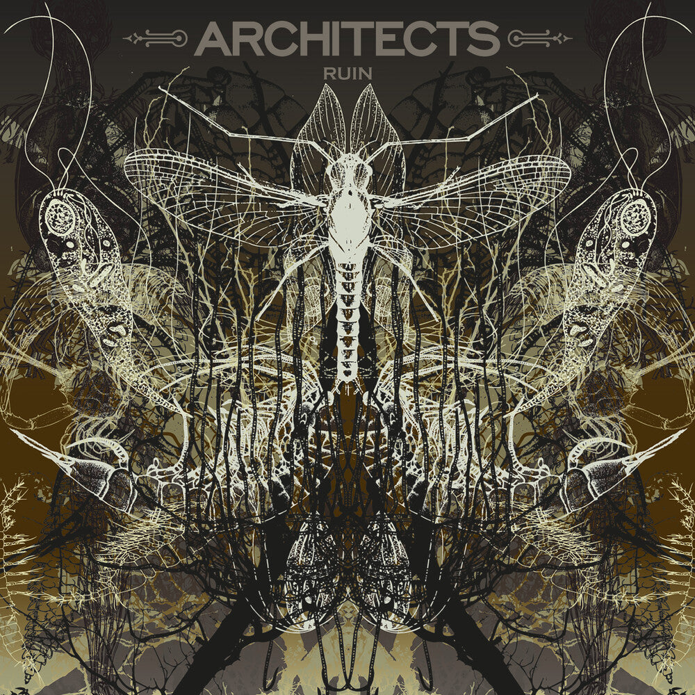 Architects- Ruin [Limited Edition] (Pict) - VINYL