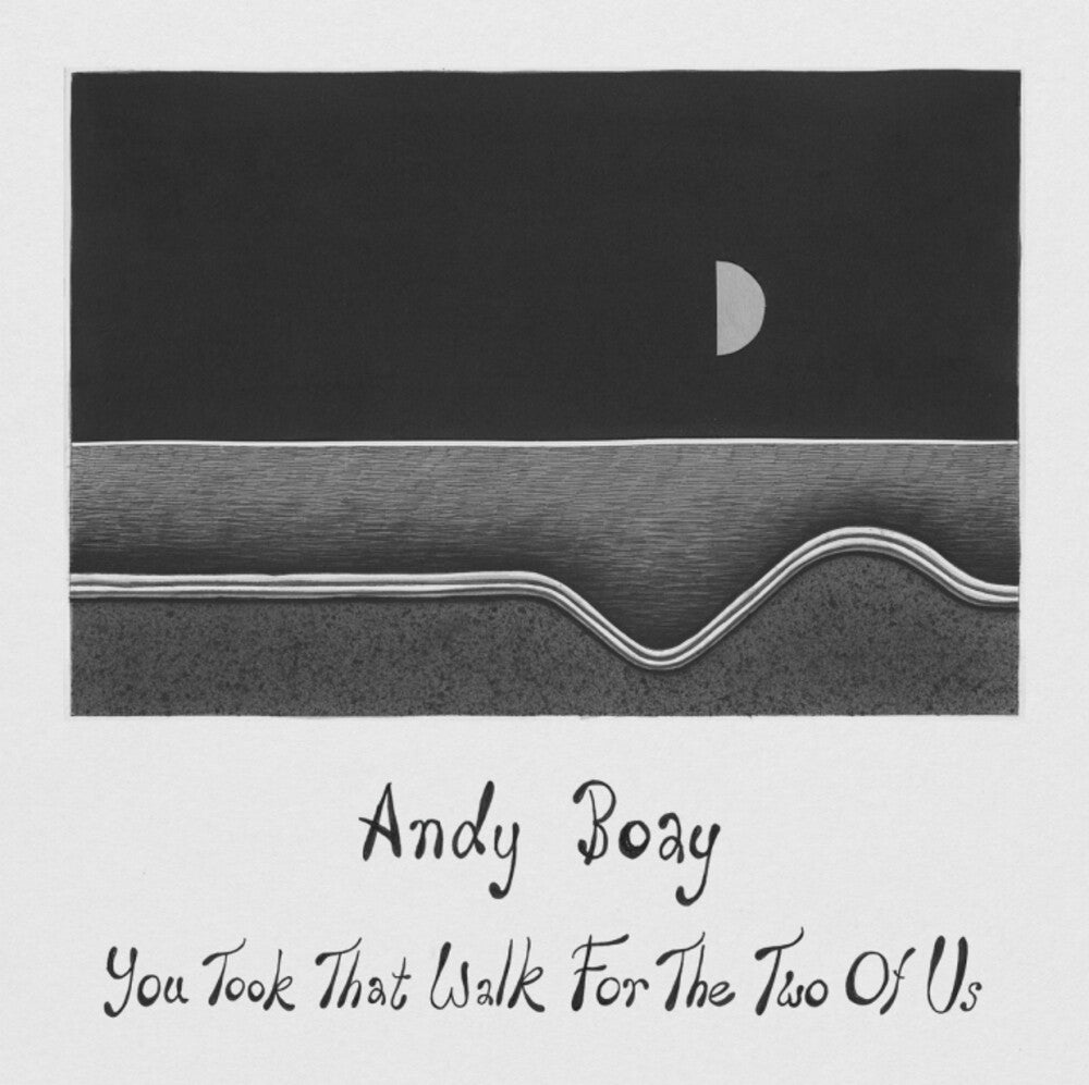 Andy Boay- You Took That Walk For The Two Of Us - VINYL